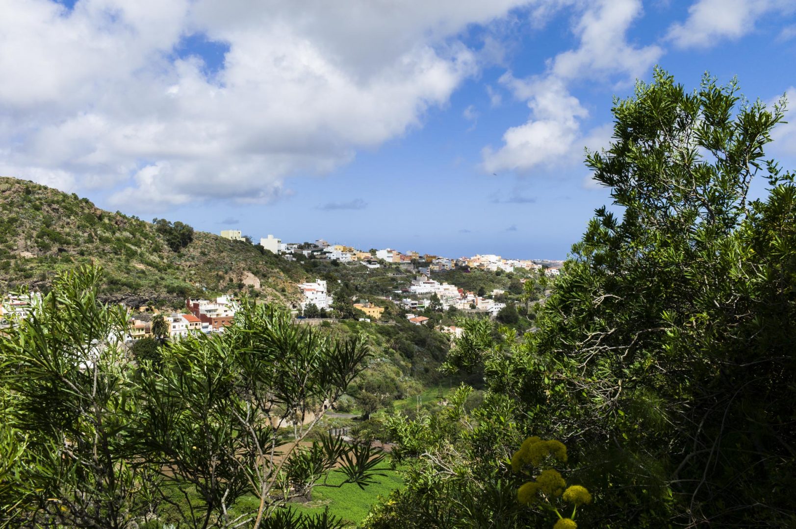 c jardin canario gran canaria 7 1623x1080