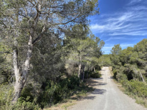 Die Piste durch La Serra dels Paranys von Sitges nach Vilanova i la Geltrú.