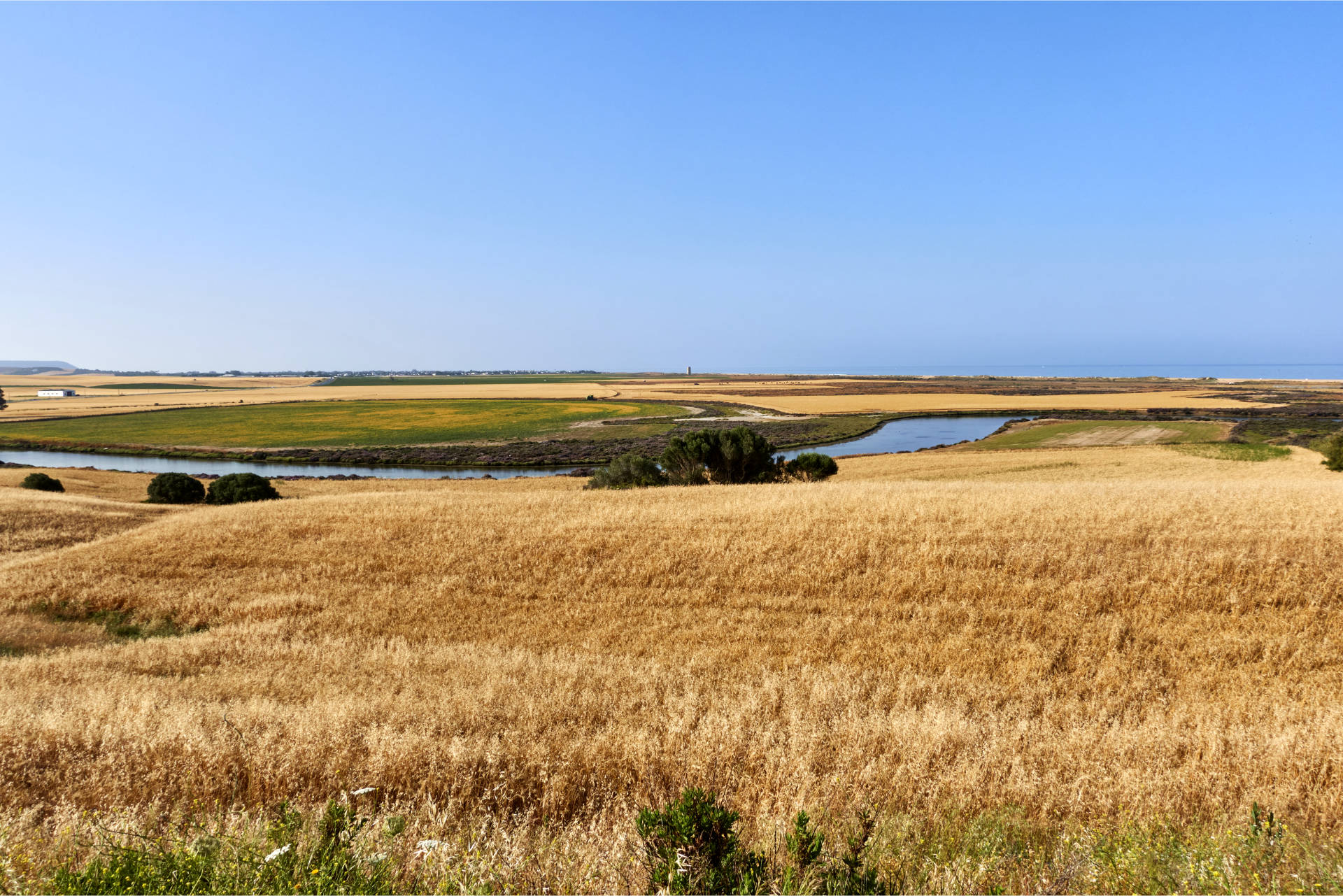 Der Río Salado und die Marismas von Conil de la Frontera im frühen Morgenlicht.