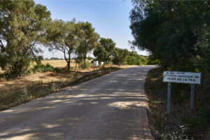 Abzweig von der Carretera Arroyo San Ambrosio auf die Avenida de Buenavista Richtung Vejer de la Frontera.