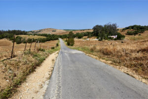 Auf der Avenida de Buenavista Richtung Vejer de la Frontera.