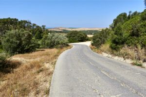 Auf der Avenida de Buenavista Richtung Vejer de la Frontera.