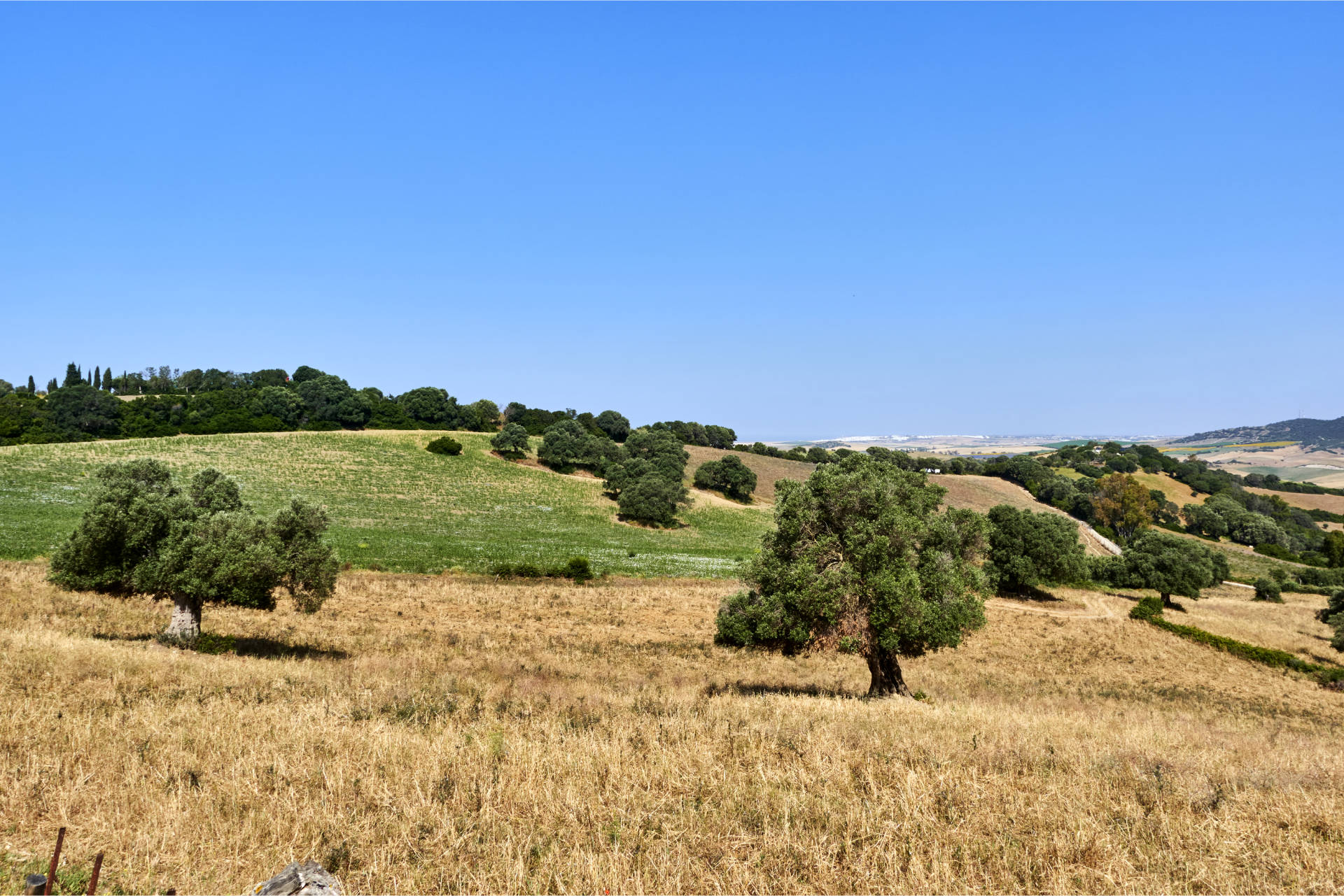 Schöne Aussicht von der Avenida de Buenavista Richtung Küste und Conil de la Frontera.