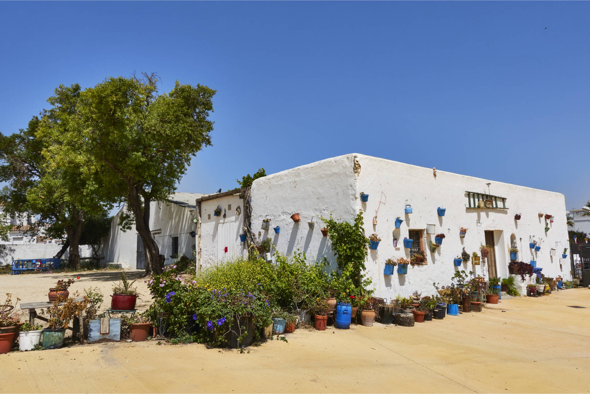 An den Molinos del Viento im Parque Hazas de Suerte von Vejer de la Frontera.