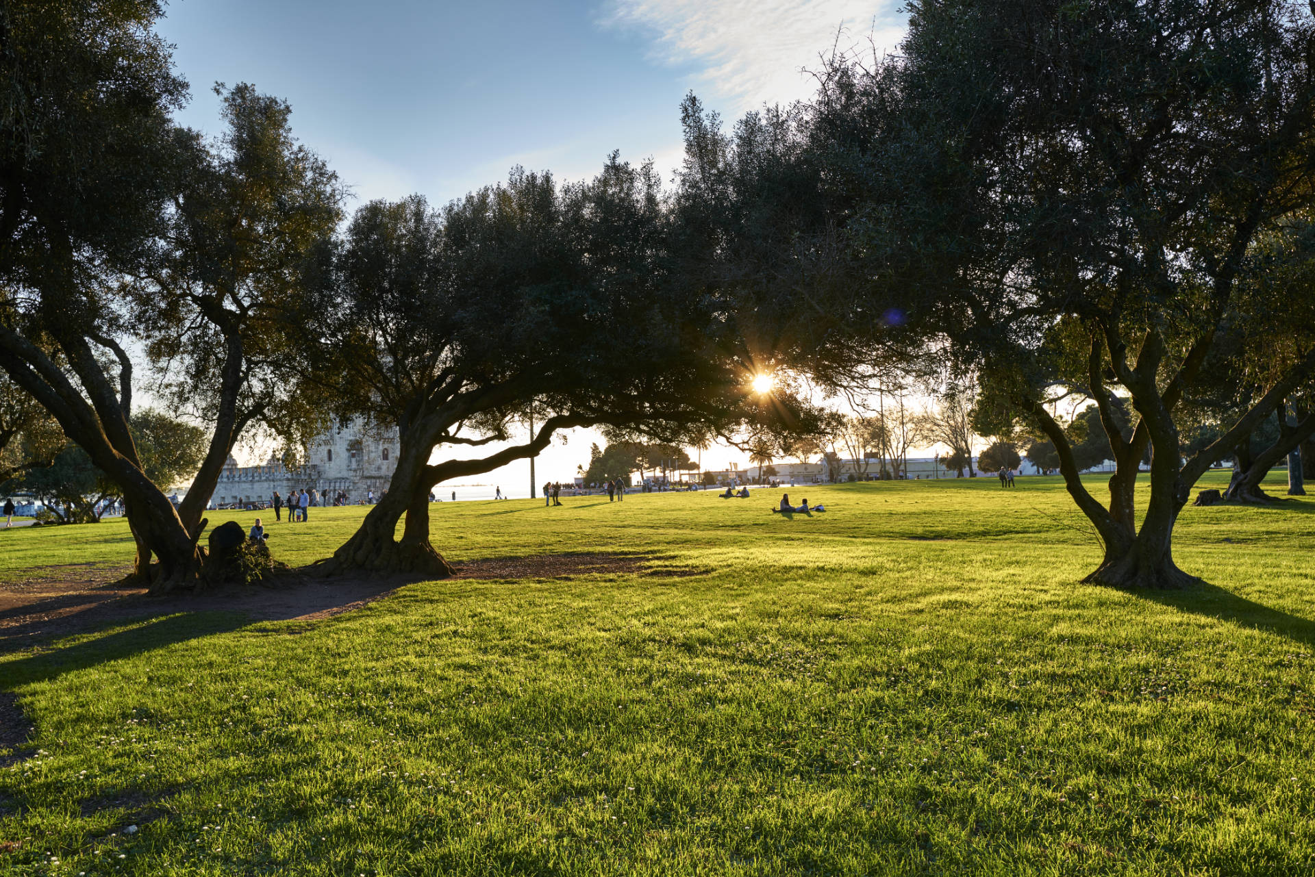 Der Jardim da Torre de Belém Lisboa im Abendlicht.